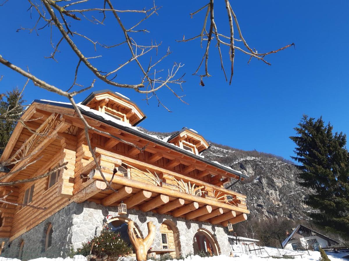 Natur Apartma Rudi Begunje na Gorenjskem Exterior foto