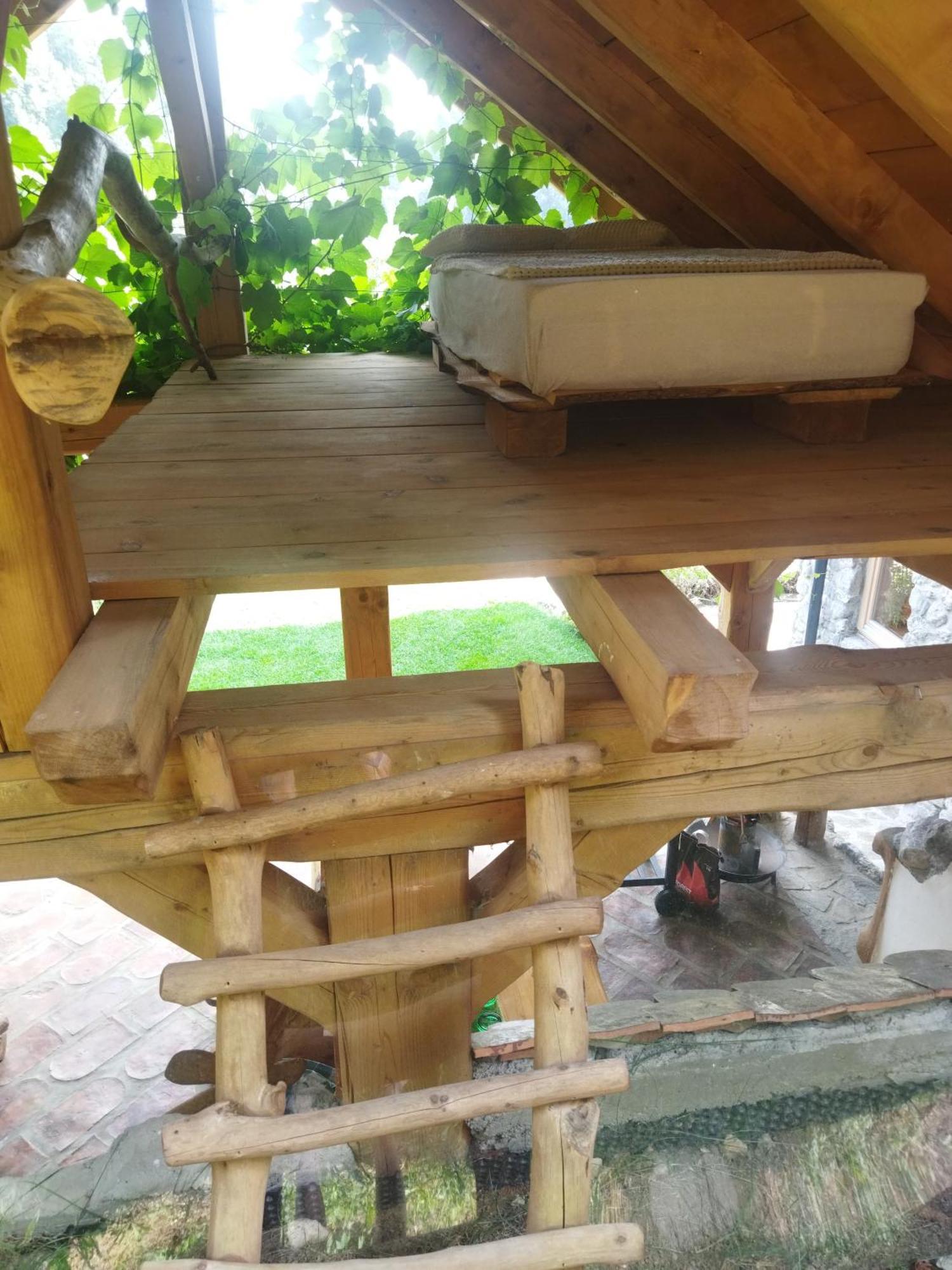 Natur Apartma Rudi Begunje na Gorenjskem Exterior foto