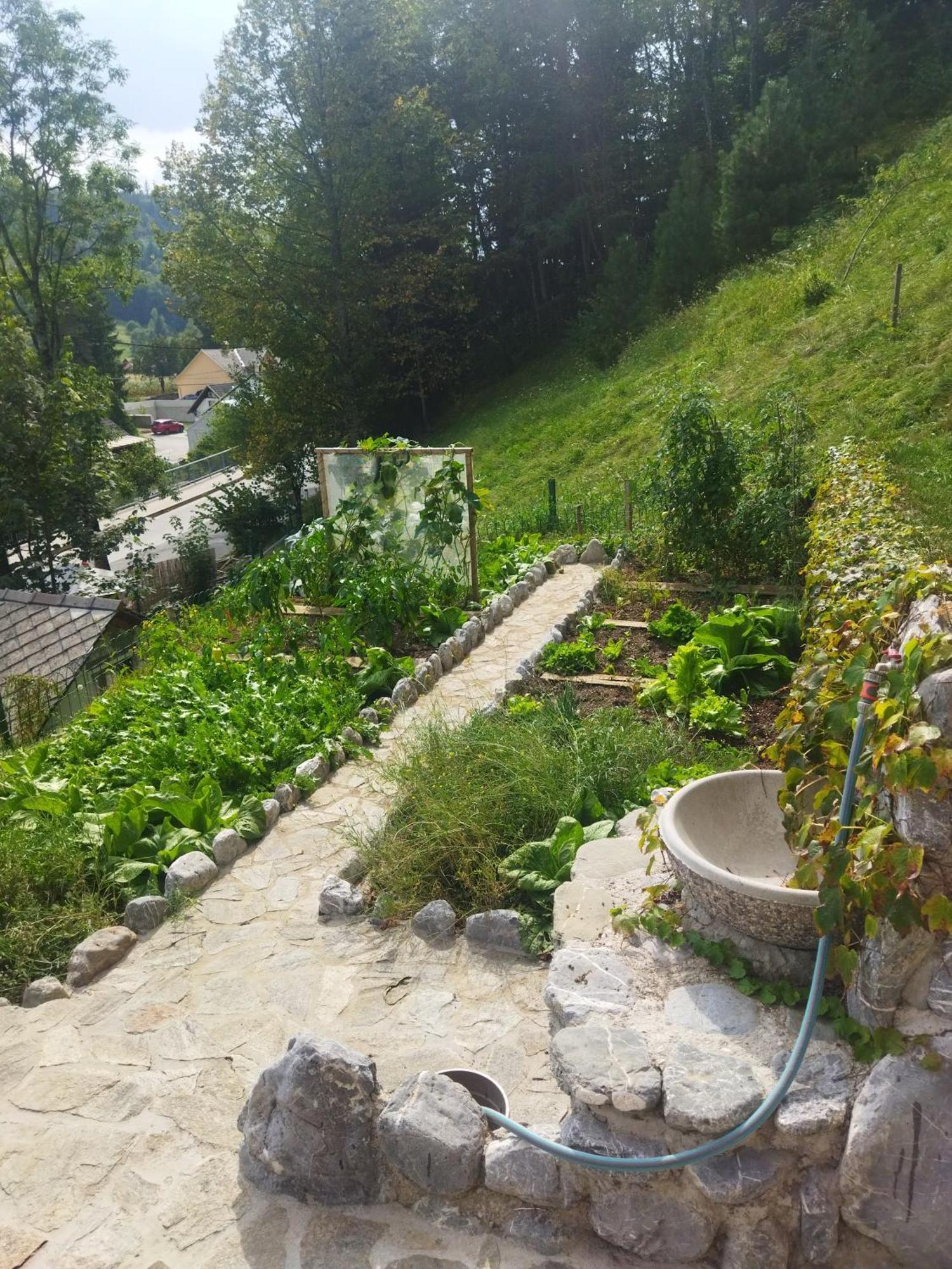 Natur Apartma Rudi Begunje na Gorenjskem Exterior foto